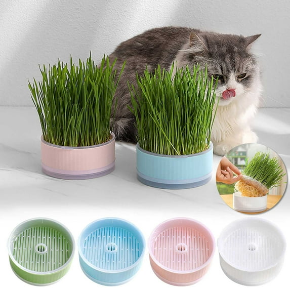 Tyidzon Cat Grass Planter, Cat Grass Planter Hydroponic(No Seed Included), Cat Grass Kit for Indoor Cats, Easy to Growing Cat Grass Products, Green