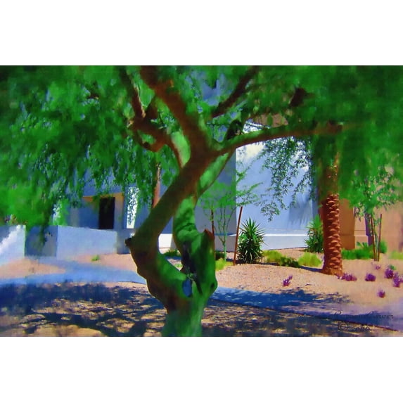 Tymeless Wonders Arizona Tree Wall Decal