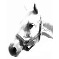 thumbnail image 1 of Tymeless Wonders Horse - II Wall Decal, 1 of 2