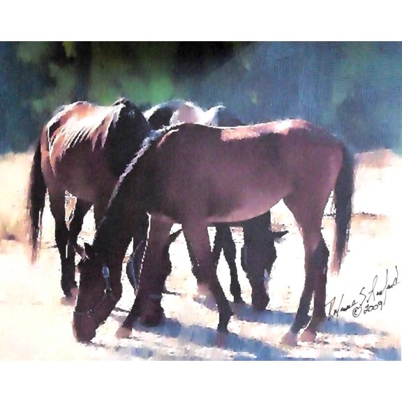 Tymeless Wonders Mustangs - II Wall Decal