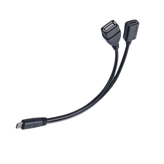 Type C Adapter and Charging Cable with IC Sound Card for Live Streaming and Charging Simultaneously on Mobile Devices