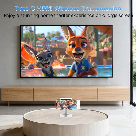 Type C Wireless  Transmitter and Receiver