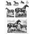 thumbnail image 1 of Type Foundry Designs. Ndesigns For Sale By The United States Type Foundry James Conner'S Sons New York Mid Or Late, 1 of 3
