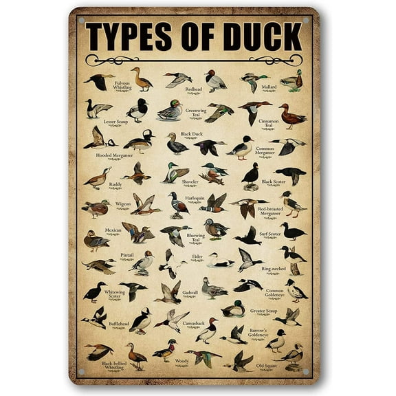 Type Of Duck Duck Hunting Decor Mallard Ducks Knowledge Home Kitchen Bathroom Metal Signs, Size 8x12