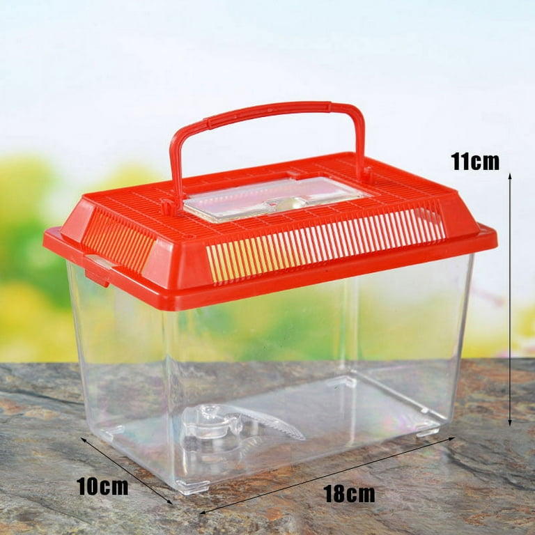 Type P4) Portable Handheld Plastic Fish Tank Transparent Cutout