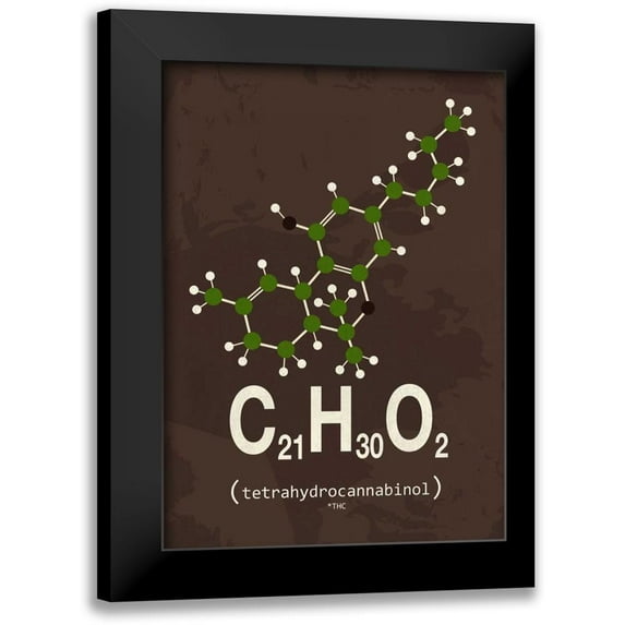 TypeLike 11x14 Black Modern Framed Museum Art Print Titled - Molecule THC
