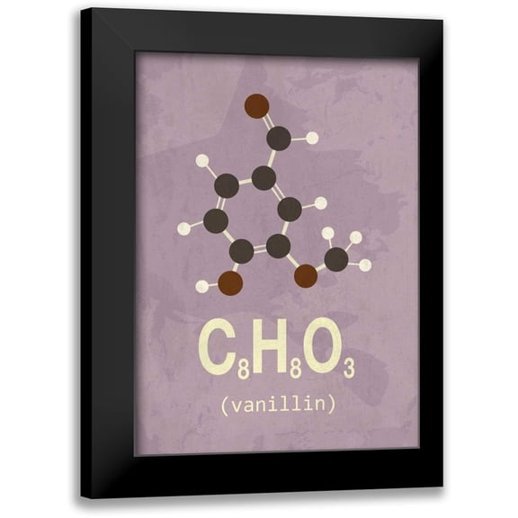 TypeLike 11x14 Black Modern Framed Museum Art Print Titled - Molecule Vanilin