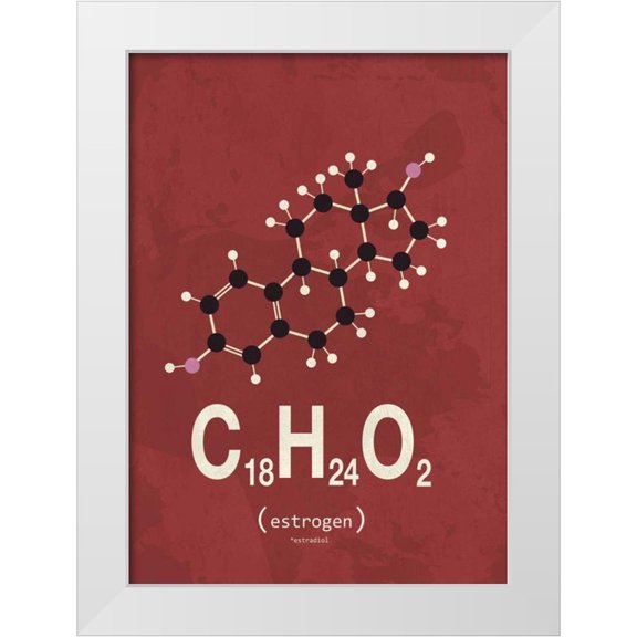 TypeLike 11x14 White Modern Wood Framed Museum Art Print Titled - Molecule Estrogene