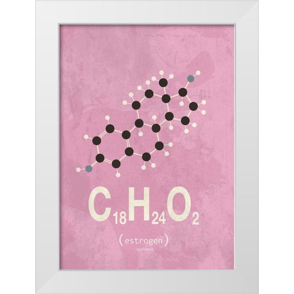 TypeLike 11x14 White Modern Wood Framed Museum Art Print Titled - Molecule Estrogene