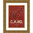 thumbnail image 1 of TypeLike 24x32 Gold Ornate Wood Framed with Double Matting Museum Art Print Titled - Molecule Chili, 1 of 4