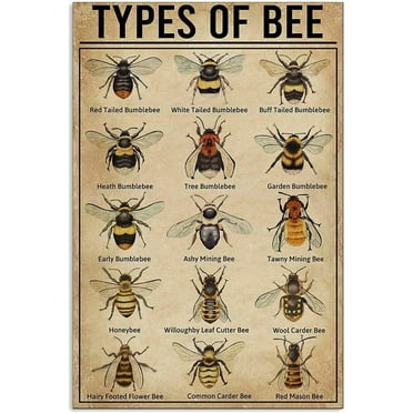 Types of Bee Metal Sign Wall Decor Retro Sign Cafe Bar Garage Plaque Farmhouse Backyard Classroom Office Studio Country Porch Lawn (Aluminum) Size: 8 x 12 inch