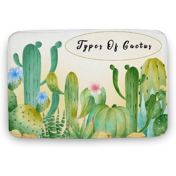 Types of Cactus Bathroom Rugs Sets Funn Small Cute Bath Rugs Modern Door Mats for Home Bedroom Living Room Decor Bathroom Floor Mats Home Decor Gift for Women Men 18x30 Inch