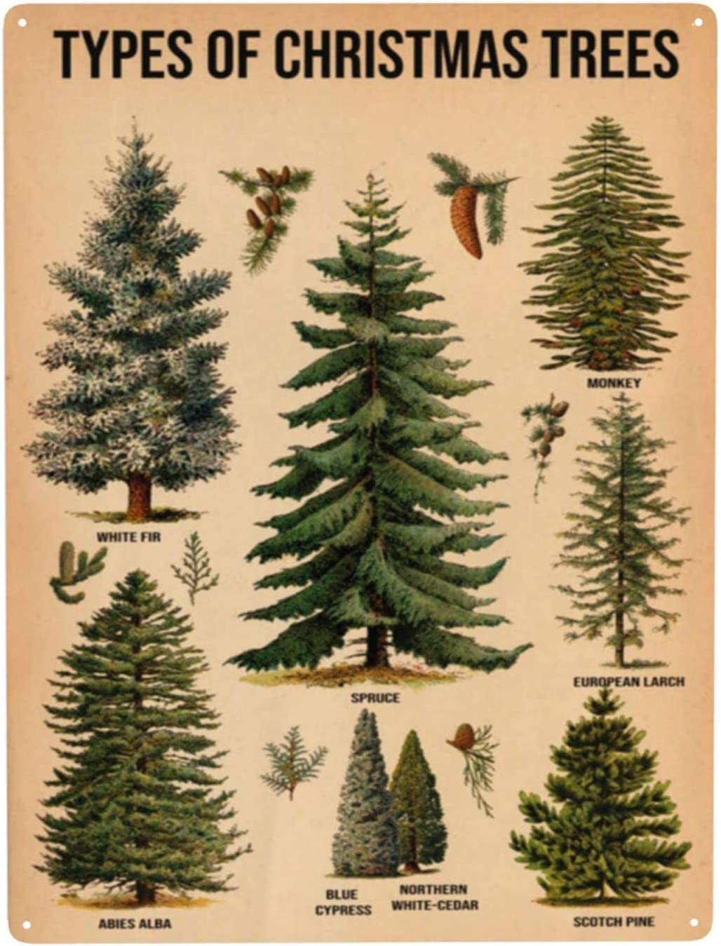 Types of Christmas Trees For Office Inspirational Wall Art For Kitchen