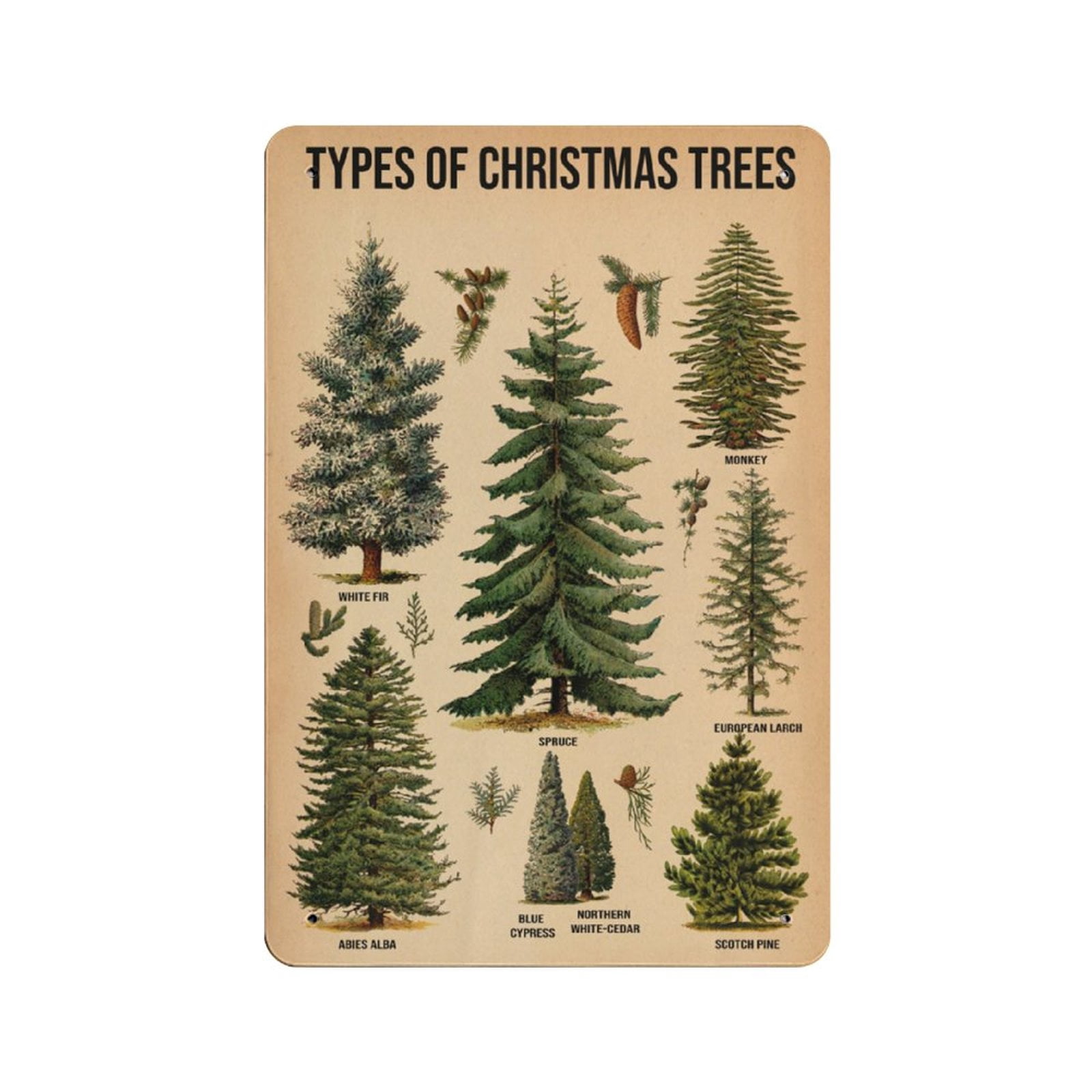 Types Of Christmas Trees Tin Sign Christmas Tree Pine Print Christmas types-of-christmas-trees-tin-sign-christmas-tree-pine-print-christmas