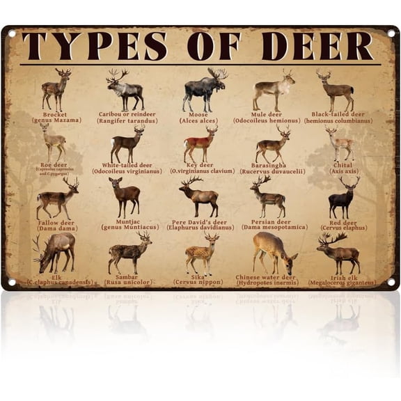 Types Of Deer Tin Sign Retro Metal Wall Decor 8" x 12" Vintage Deer Species And Scientific Names Animal Wall Art Poster for Home Room Cafes Bar Outdoor Farmhouse Man Cave Decor Gift