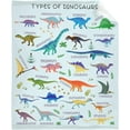 thumbnail image 1 of Types of Dinosaurs Blanket Gifts for Women Adult Swaddle Friend Super Soft Warm Fuzzy Cozy Lightweight Throw Blankets for Home Bed Couch Sofa 30"x40" for Baby/Pets, 1 of 6
