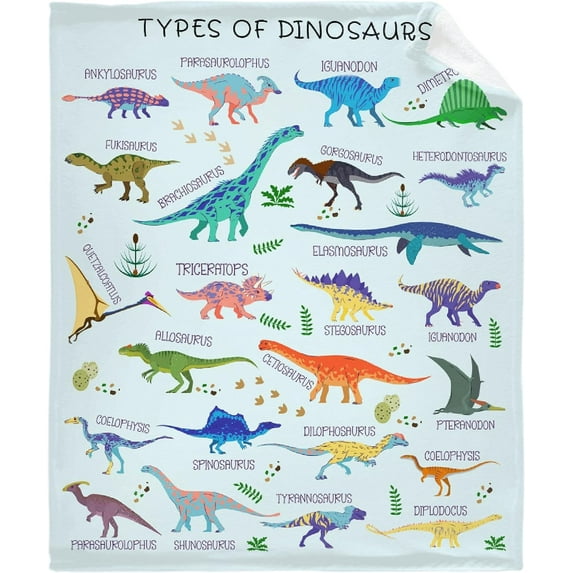Types of Dinosaurs Blanket Gifts for Women Adult Swaddle Friend Super Soft Warm Fuzzy Cozy Lightweight Throw Blankets for Home Bed Couch Sofa 30"x40" for Baby/Pets