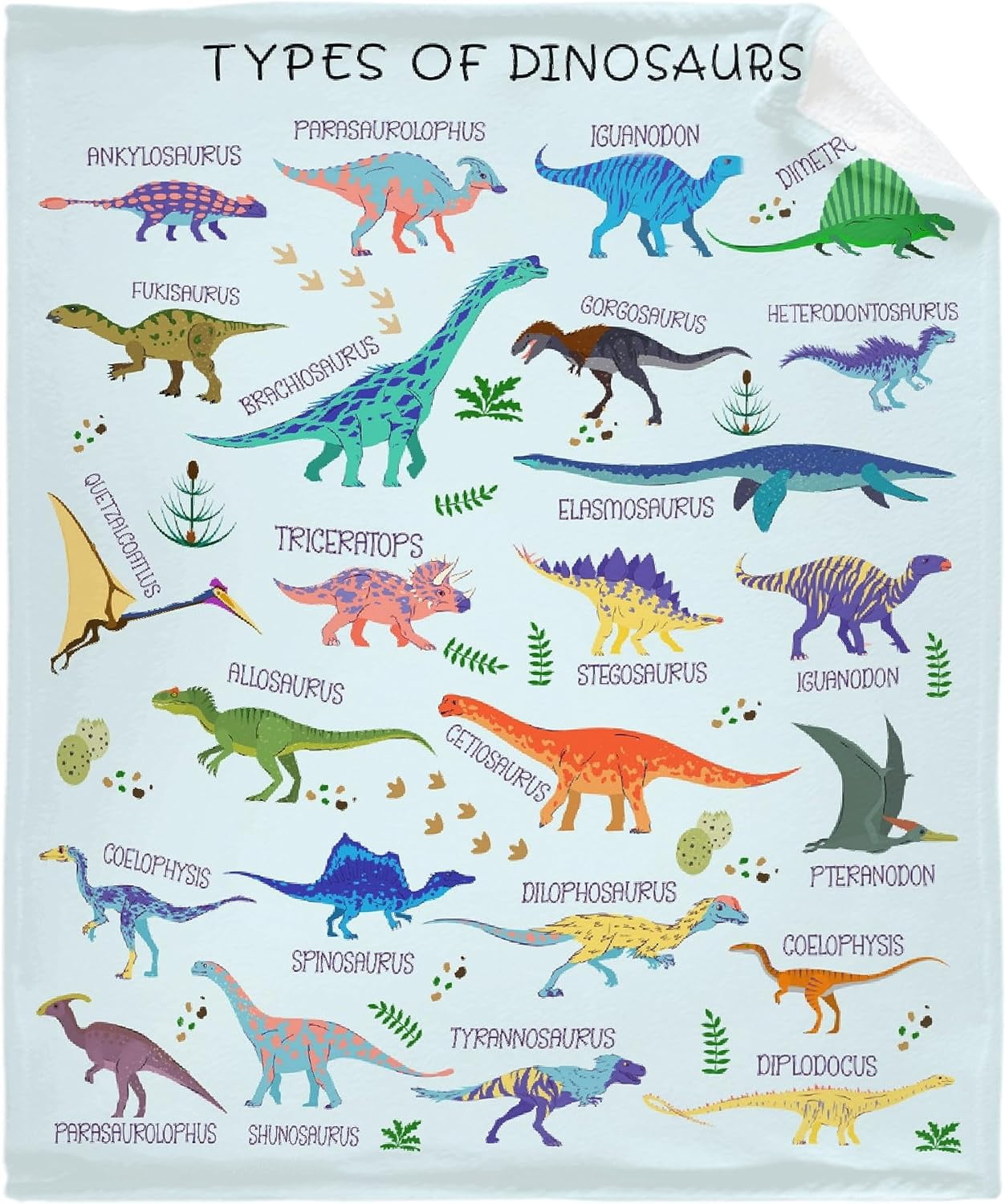 Types of Dinosaurs Blanket Gifts for Women Adult Swaddle Friend Super Soft Warm Fuzzy Cozy Lightweight Throw Blankets for Home Bed Couch Sofa 50"x60" for Teens