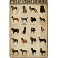 thumbnail image 1 of Types Of Herding Dog Breeds Metal Tin Signs Shepherd Dog Knowledge Retro Poster Kennel Education Plaque Decoration Pet Shop Home Room Wall Decor 8x12 Inches, 1 of 5