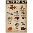 thumbnail image 1 of Types Of Octopus Knowledge Painting Canvas Wall Art Living Room Posters Wall Decor Gifts For Retro Poster Bedroom Garage Club Bar Painting Unframed 6"x8", 1 of 7