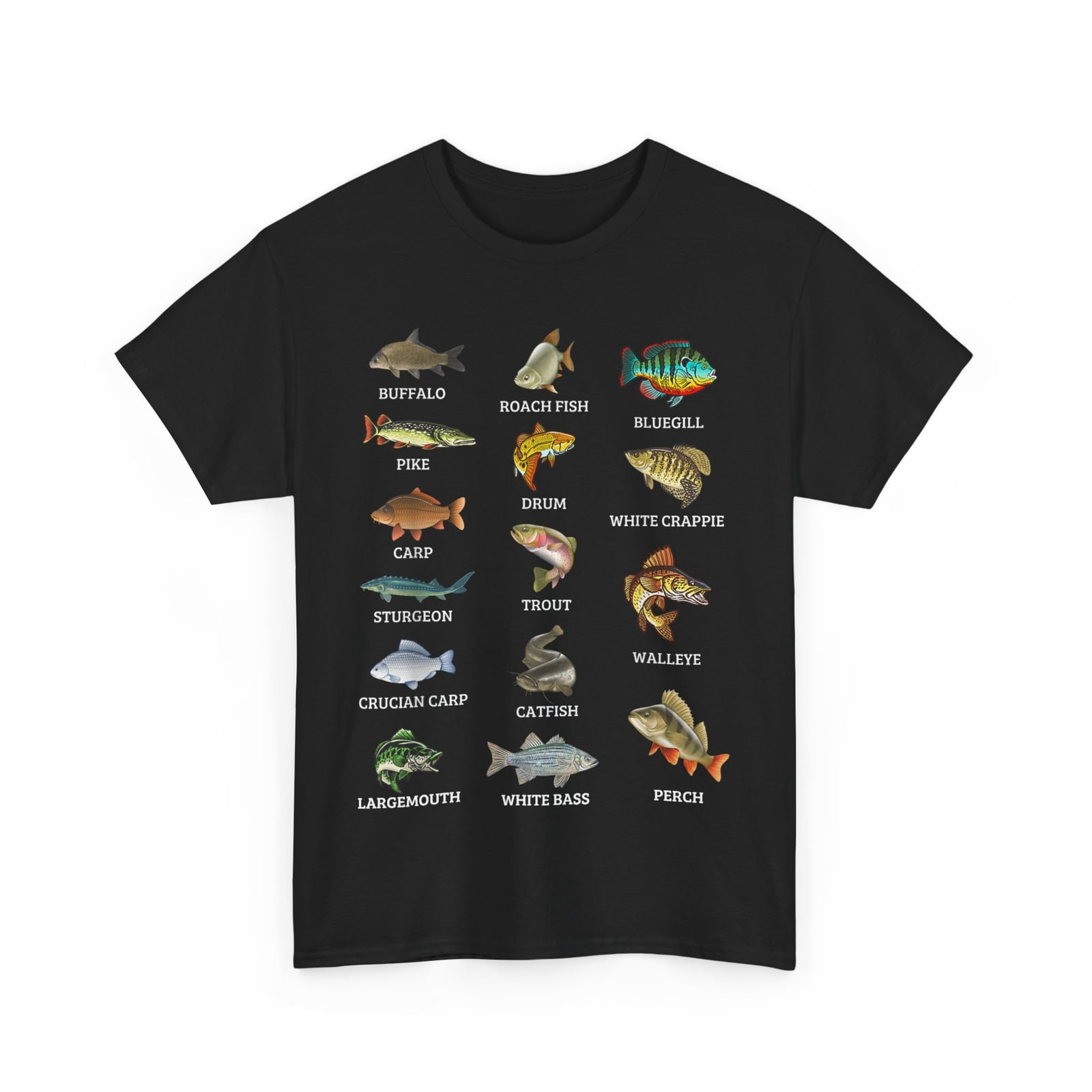 Types Of Freshwater Fish Species Fishing Lovers Fisherman Graphic Theme ...