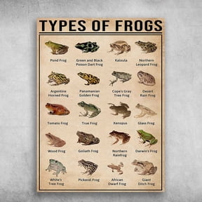 Types Of Frogs, Frog Knowledge, Pond Frog, Green And Black Poison Dart Frog 11 x 17 Inch Poster