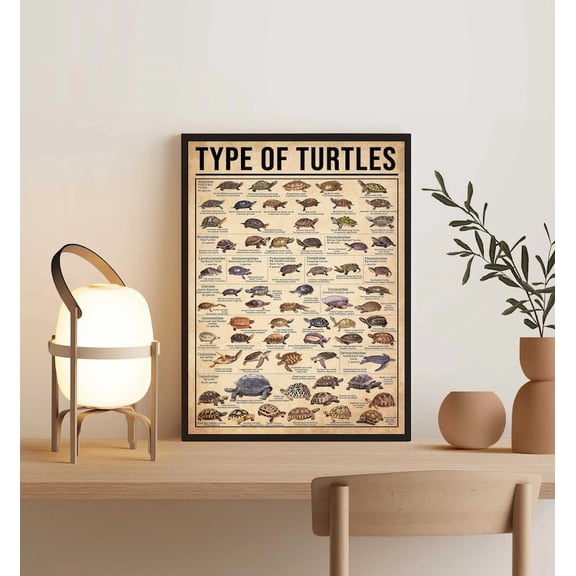 Types Of Turtles Vintage Knowledge Art - Marine Life Species Poster 8x12 UNFRAMDE