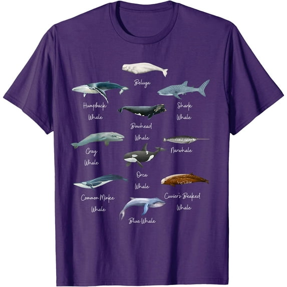 Types Of Whales Watercollor Cute Ocean Mammals Guide Softstyle Unisex T-Shirt,Purple Color,Size YXL