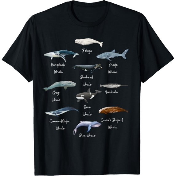 Types Of Whales Watercollor Cute Ocean Mammals Guide T-ShirtMen and women, Black T-shirt, size: Extra large