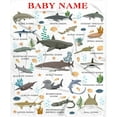 thumbnail image 1 of Types of Sharks Custom Name Blanket Gifts for Girls Boys Women - Super Soft Cozy Warm Throw Sheet for Couch Bed Sofa Office Decor All Season 60"x80" for Adult, 1 of 6