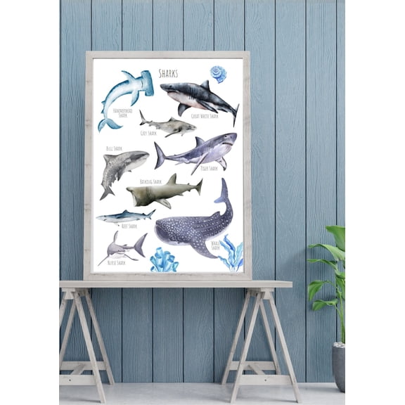 Types of Sharks Species Identification Chart Educational Marine Biology Art Poster Print Ocean Life Science Wall Decor for Classroom 12x18 inch UNFRAMED
