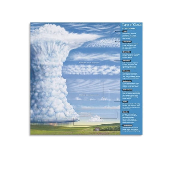 Types of Clouds Chart Poser Cloud Identification Guide 8 Canvas for Living Room Bedroom Decor