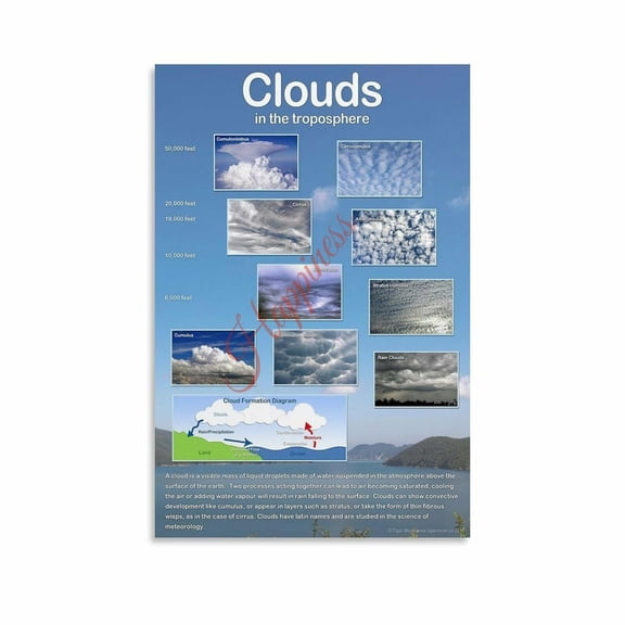 Types of Clouds Identification Chart Poster Weather Science Educational Wall Art (8) Canvas for Living Room Bedroom Decor