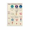 thumbnail image 1 of Types of Estrogen in Women Poster Medical Hormone Knowledge Canvas Painting Wall Art Poster for Bedroom Living Room Decor, 1 of 4
