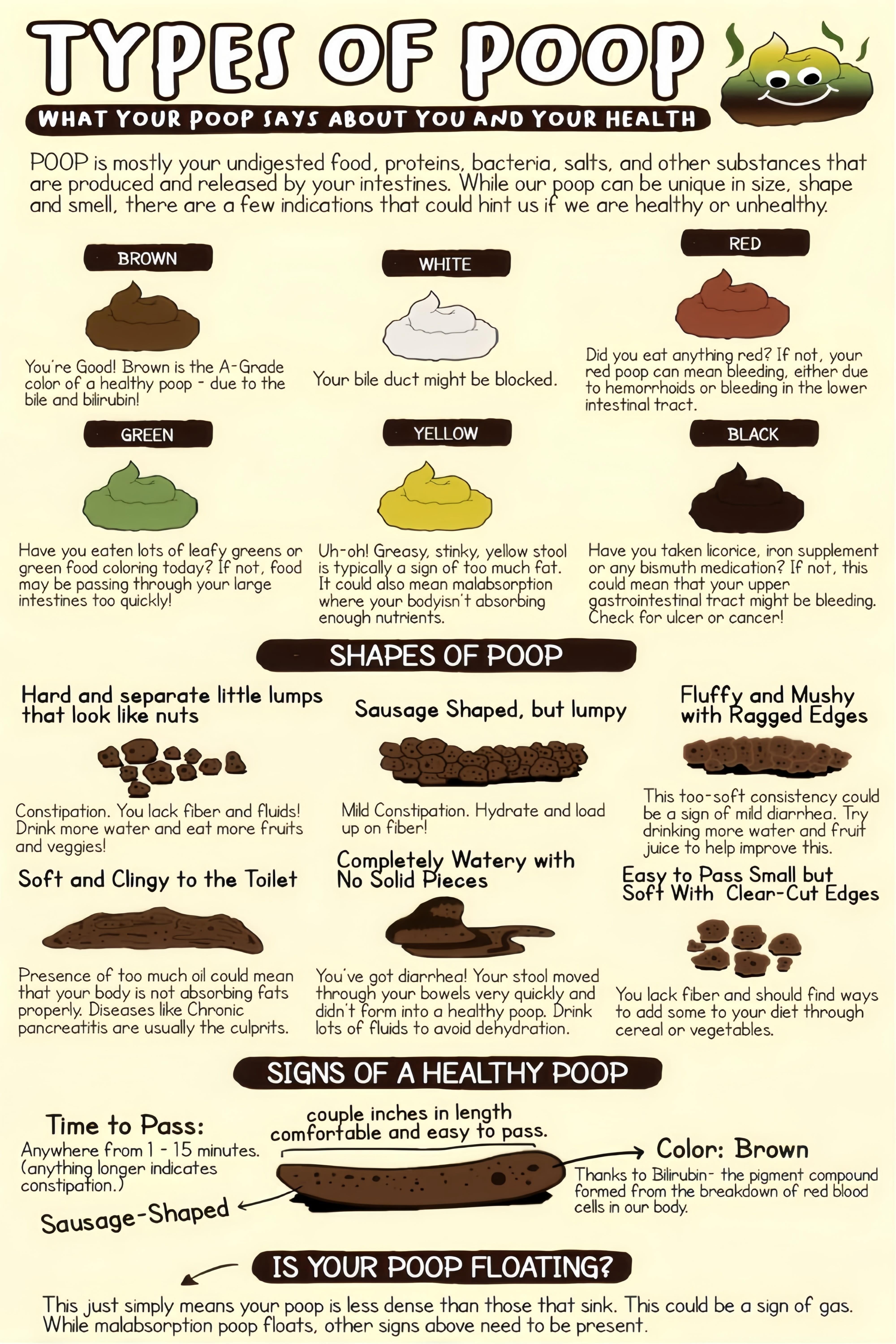 Color Postet Types of Poop Chart Stool Shapes and Color Explanations reference ...