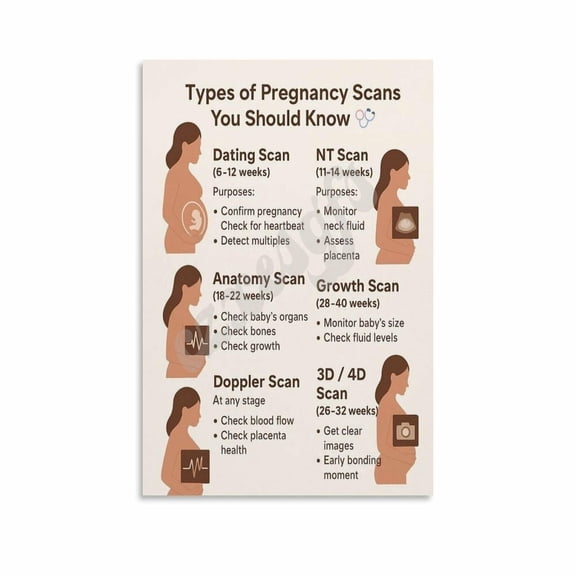 Types of Pregnancy Scans Poster OB GYN Educational Wall Art Clinic Canvas Painting Wall Art