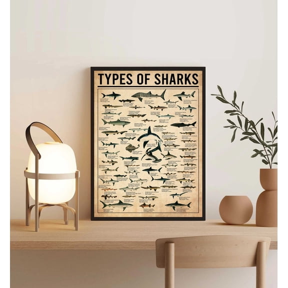 Types of Sharks Species Identification Chart Marine Biology Educational Art Poster Print Vintage Natural History Wall Decor 8x12 inch UNFRAMED