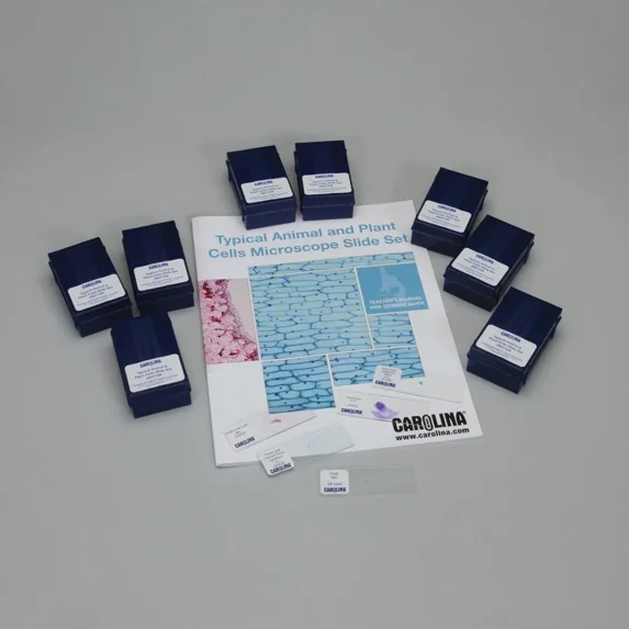 Typical Animal And Plant Cells Microscope Slide Classroom Set