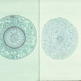 thumbnail image 1 of Typical Monocot And Dicot Roots, C.S., 12 M Microscope Slide, 1 of 1