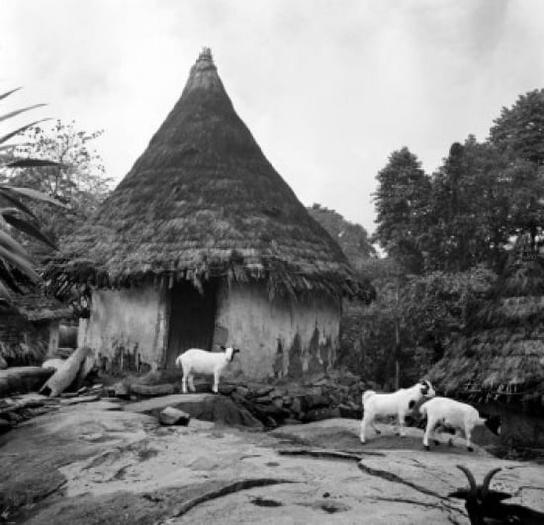Typical Mountain village near town of Man Wesrern Ivory Coast Canvas Art - (18 x 24)