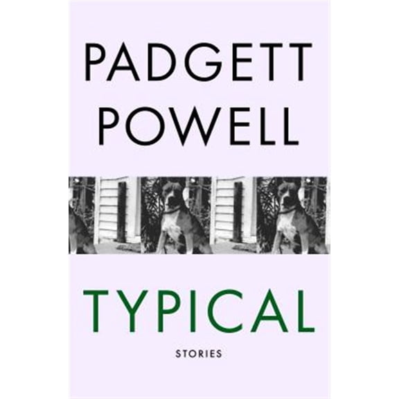 Pre-Owned Typical : Stories (Paperback)