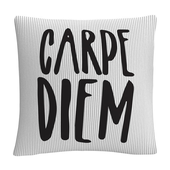 Typographic Modern Carpe Diem Stripes By Abc 16 X 16 Decorative Throw Pillow