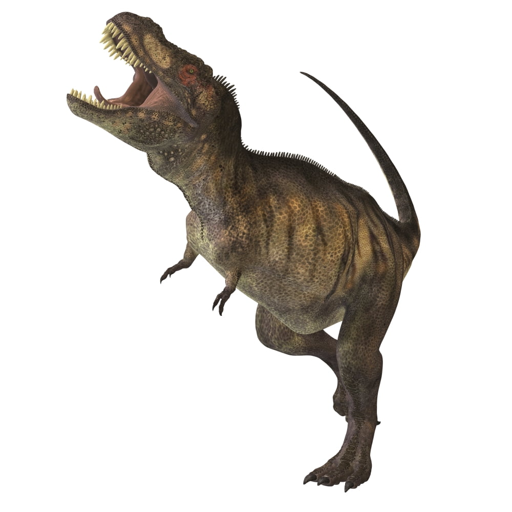 Tyrannosaurus Rex Canvas Art - Corey FordStocktrek Images (28 x 28)