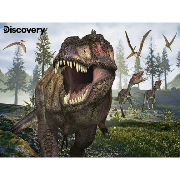 Tyrannosaurus Rex Discovery