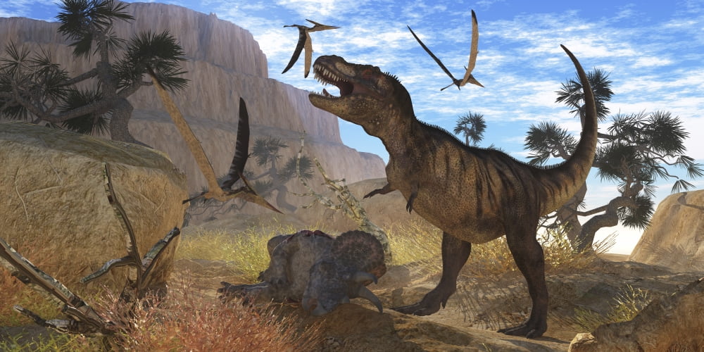 Tyrannosaurus Rex attempts to eat his Triceratops kill while Pteranodons harass him Canvas Art - Corey FordStocktrek Images (40 x 20)
