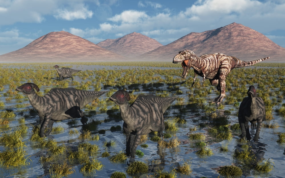 Tyrannosaurus Rex chasing a herd of Parasaurolophus dinosaurs Canvas Art - Mark StevensonStocktrek Images (18 x 12)