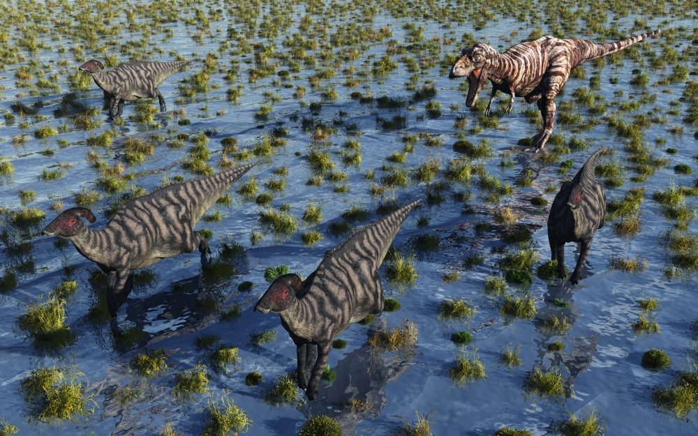 Tyrannosaurus Rex chasing a herd of Parasaurolophus dinosaurs Canvas Art - Mark StevensonStocktrek Images (36 x 23)