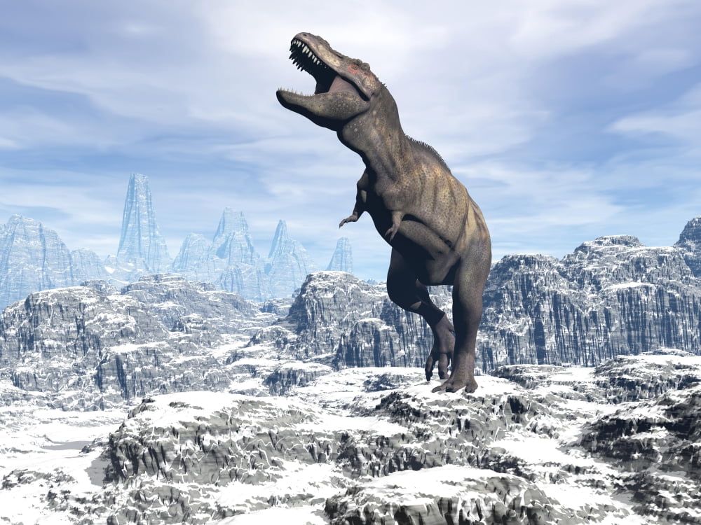 Tyrannosaurus Rex dinosaur in a snowy landscape Canvas Art - Elena DuvernayStocktrek Images (17 x 13)