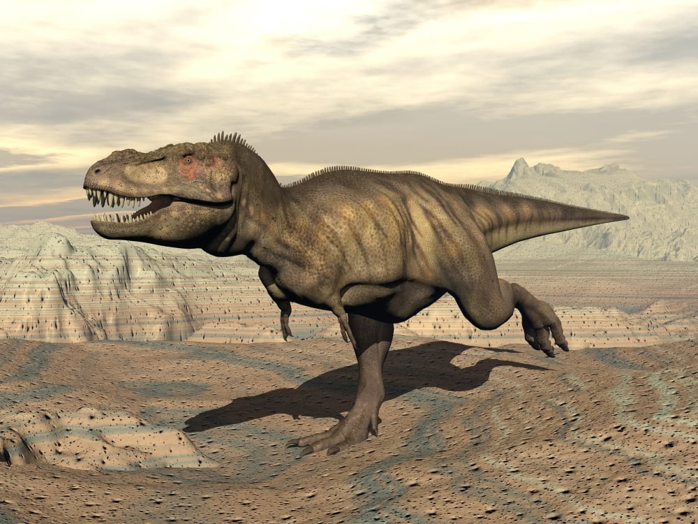 Tyrannosaurus Rex dinosaur running across rocky terrain Canvas Art - Elena DuvernayStocktrek Images (33 x 25)