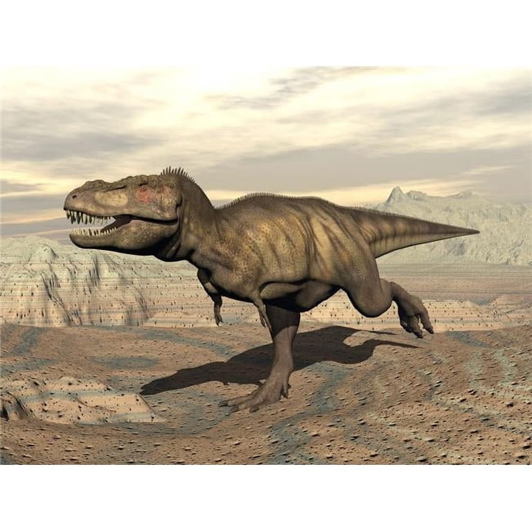 Tyrannosaurus Rex dinosaur running across rocky terrain Poster